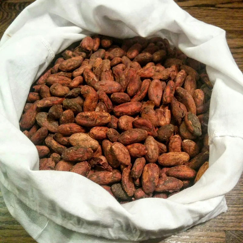 Arriba Nacional Ecuadorian Cacao Beans 3kg