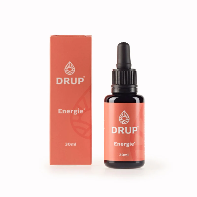 Drup Energie