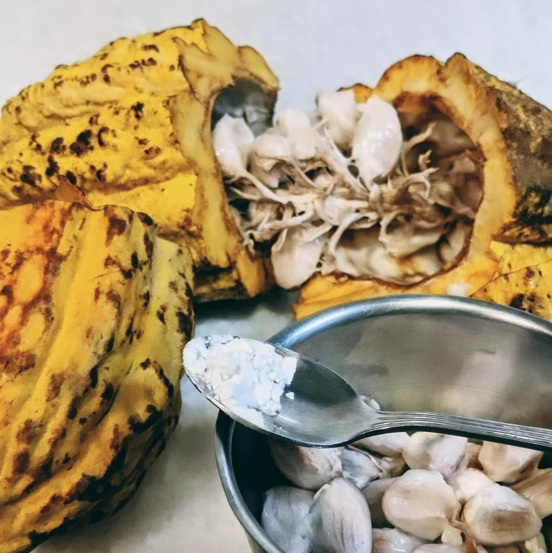 Freeze-Dried Cacao Fruit- 100% pulp powder 500g