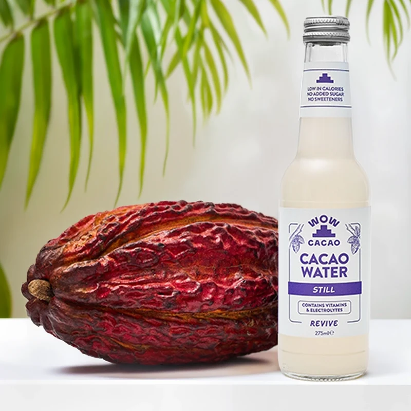 Still Cacao Water (6 x 275 ml)