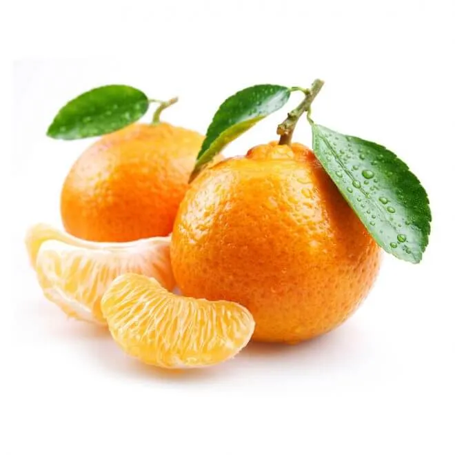 Apetito Pure Fruit Juice
